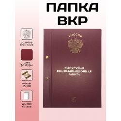 Папка ВКР общий образец